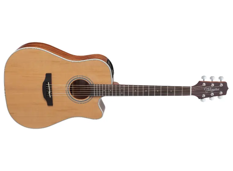 Takamine GD20CE-NS 